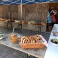 Gartenfest19028