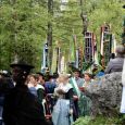 Birkenstein010
