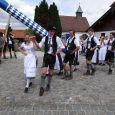 Maibaum093